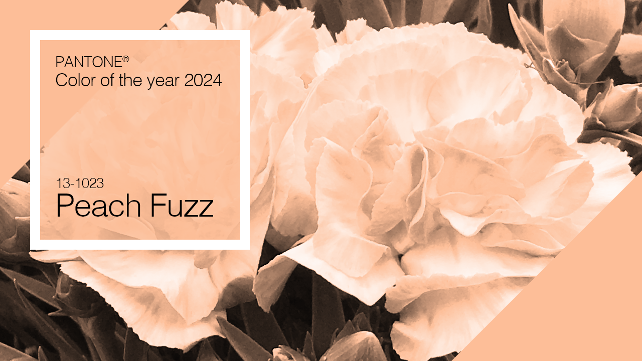 Peach Fuzz: Pantone Color of the Year 2024.